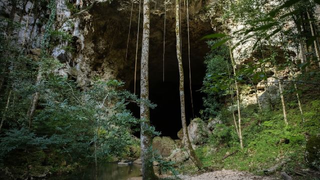 Mountain Pine Ridge Forest Reserve from San Ignacio
