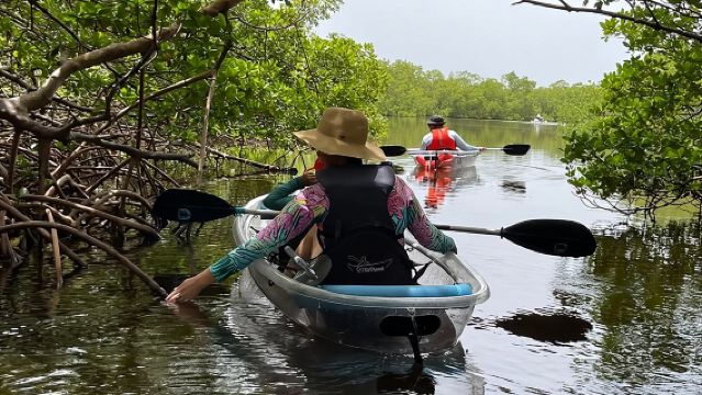 Visite autoguidée de l'île : kayak CLEAR/standard, SUP - Bonita Springs