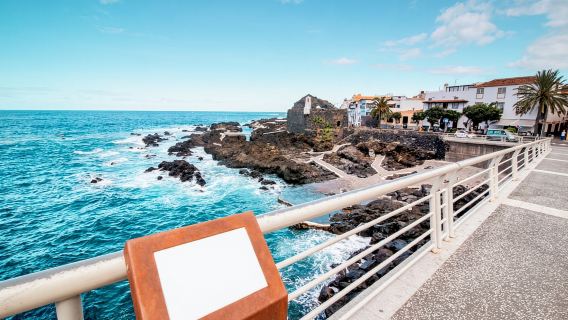 From Santa Cruz: Teide Volcano, Icod, & Garachico Tour