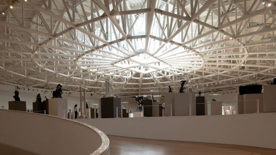 Museo Soumaya: Guided Tour