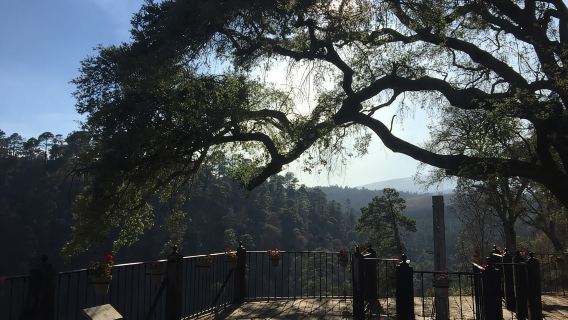 Puebla: Parque Natural y Montaña Alpinia