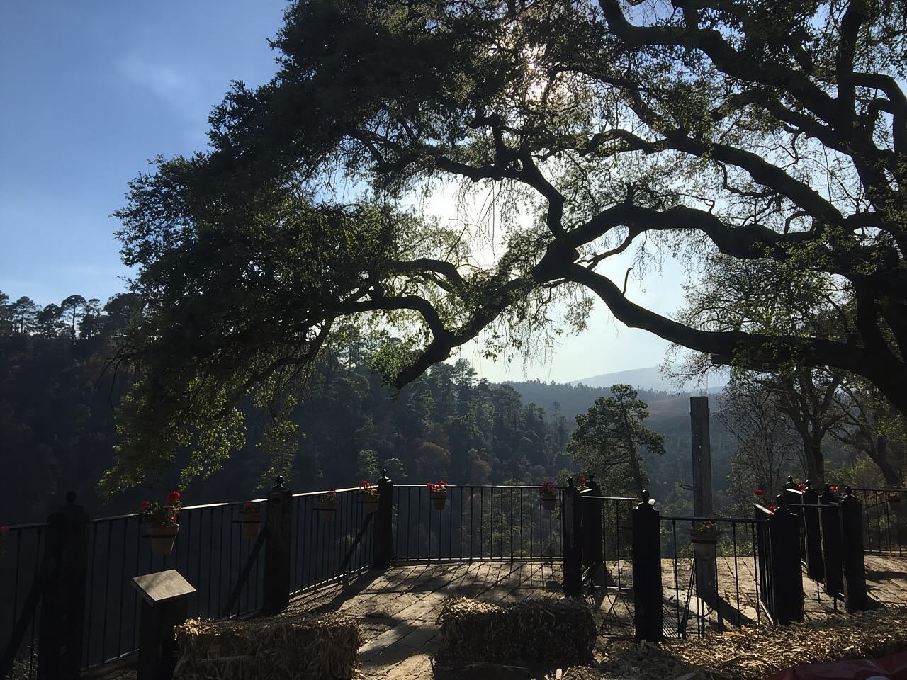 Puebla: Alpinia Mountain and Nature Park