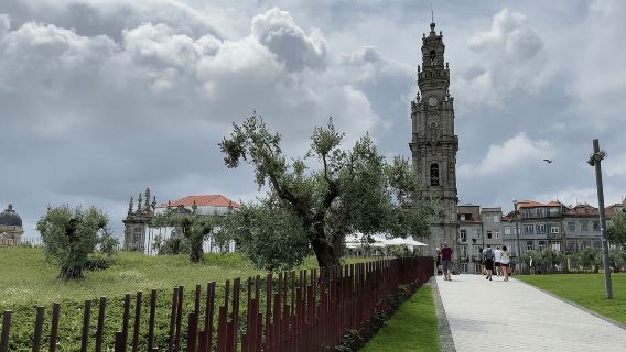 Esperienza da Porto a Gaia: passeggiata in città e cantine vinicole