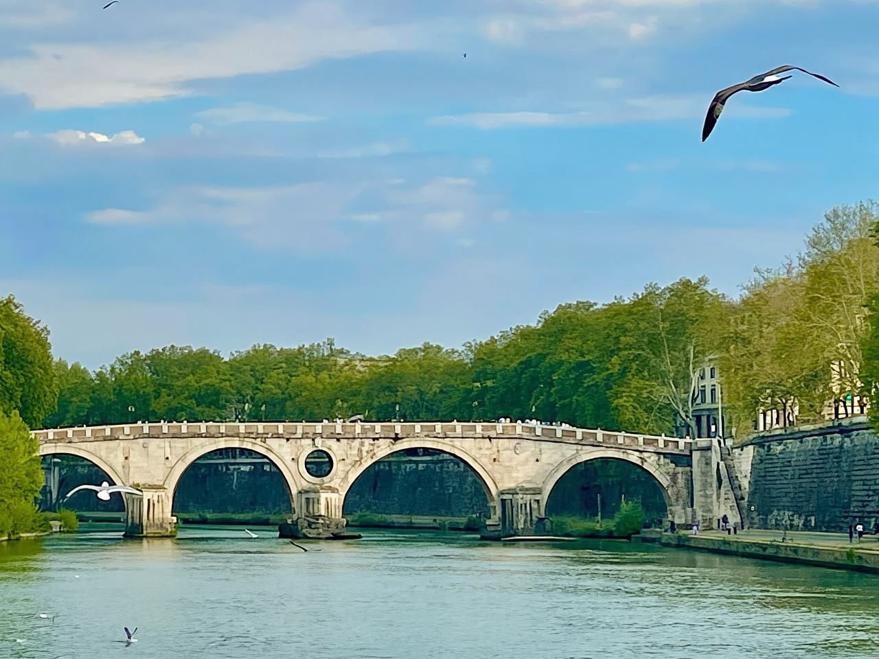 Roma: Visita al Panteón y barco turístico por el río Tíber