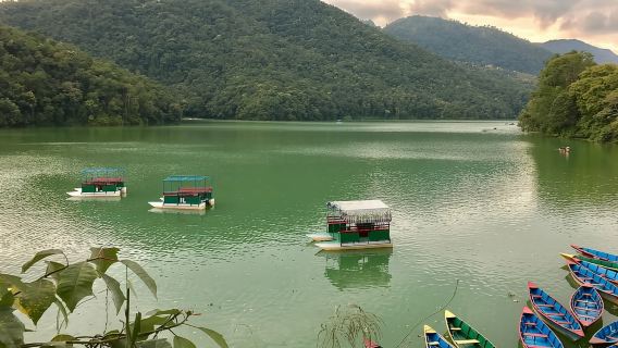 Da Pokhara: escursione di un giorno alla splendida Pagoda della Pace e alla statua di Shiva