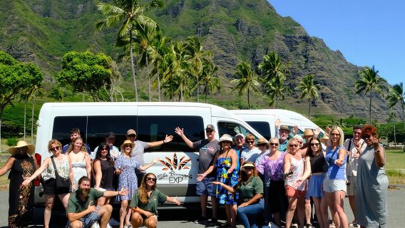 Oahu Circle Island Tour, Free Pineapple/ Byodo-inn!–Max 14 Guests