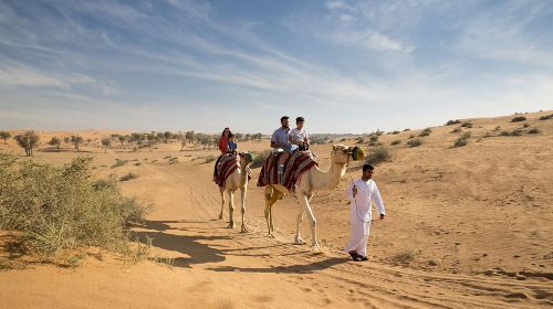 Ras Al Khaimah Desert Safari with Shared Transfer/Private Charter Option [Hotel Pick-up & Drop-off] Day Tours 5