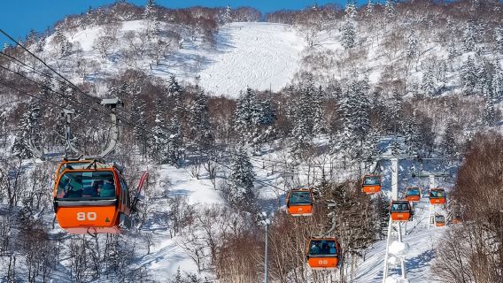 Japan Hokkaido Sapporo Kokusai Ski Resort 1-day tour [private transfer/choice of beginner or advanced slopes]