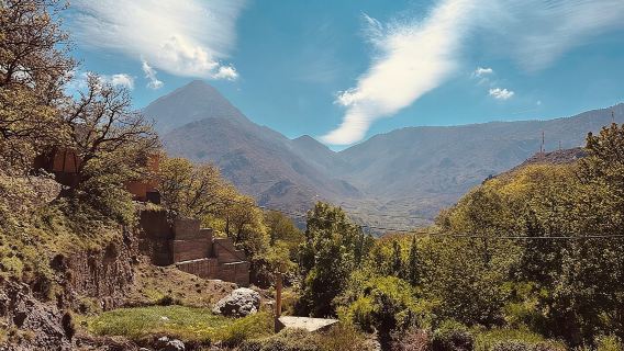 From Marrakech : Atlas Mountains 4 hours hike to talamrout summit
