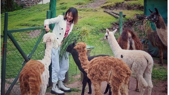 Cochahuasi Animal Sanctuary Admission Ticket