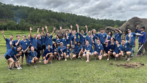 ทัวร์ 1 วัน ลิฟวิ่งกรีน แคมป์ช้าง เชียงใหม่ อินทนนท์