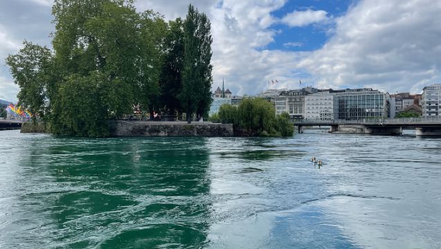 Il meglio di Ginevra: Tour del Quartiere ONU, Città Vecchia e Crociera in Barca