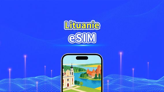 eSIM Lituanie | Données haut débit | 5G/4G | Forfait journalier/données | 24 h | 1 à 30 jours | Code QR