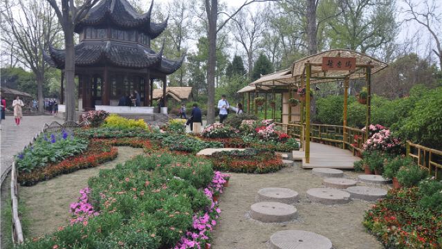 蘇州拙政園+獅子林半日包團導覽 專職專業導遊 深度導覽（大咖講師 10年導遊經驗）