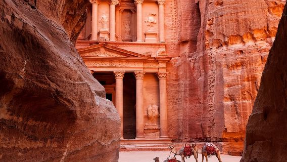 Privater Tagesausflug nach Petra inklusive Totes Meer ab Amman