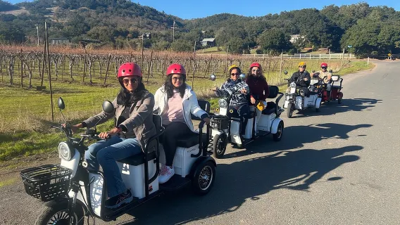 Tour in triciclo elettrico nella regione vinicola di Sonoma - 3 ore