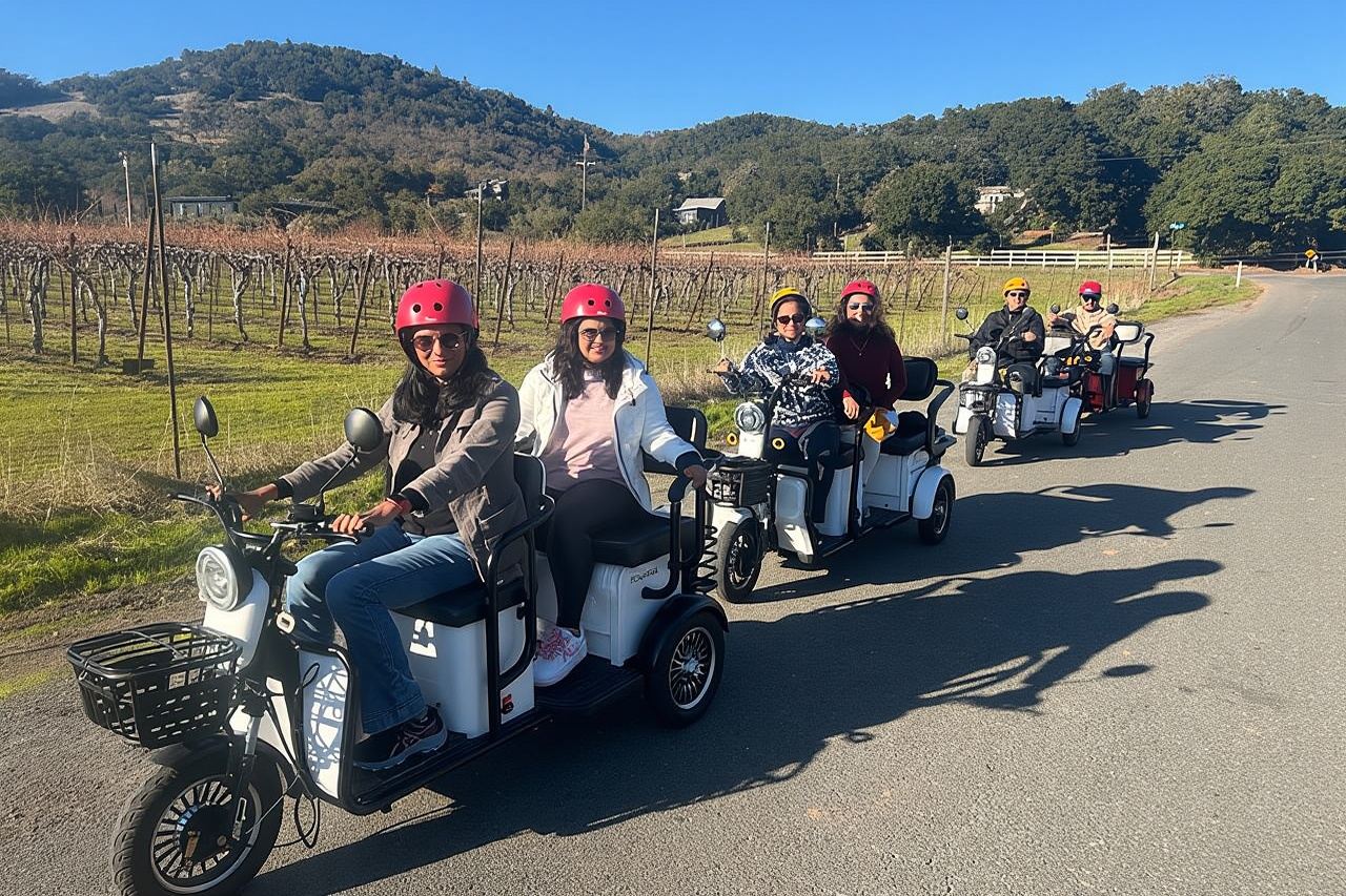 Tour in triciclo elettrico nella regione vinicola di Sonoma - 3 ore