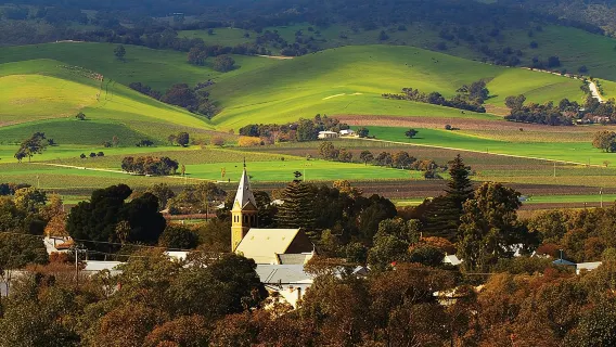 Tour hop-on hop-off della regione vinicola della Barossa Valley da Adelaide