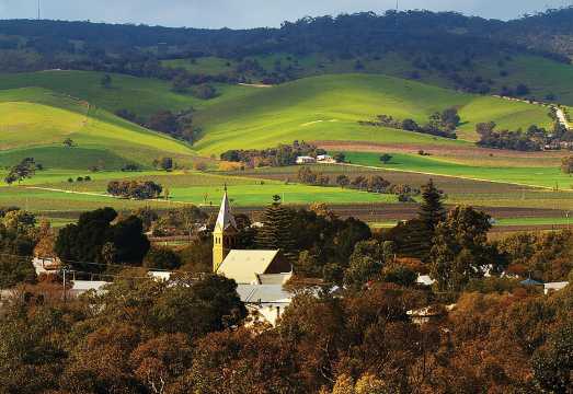 Barossa Valley Hop-On Hop-Off Wine Tour AUD 101.98