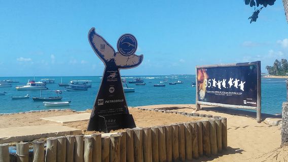 Lawatan Tetap ke Pantai Forte - Meninggalkan Salvador oleh Bahia Top Turismo