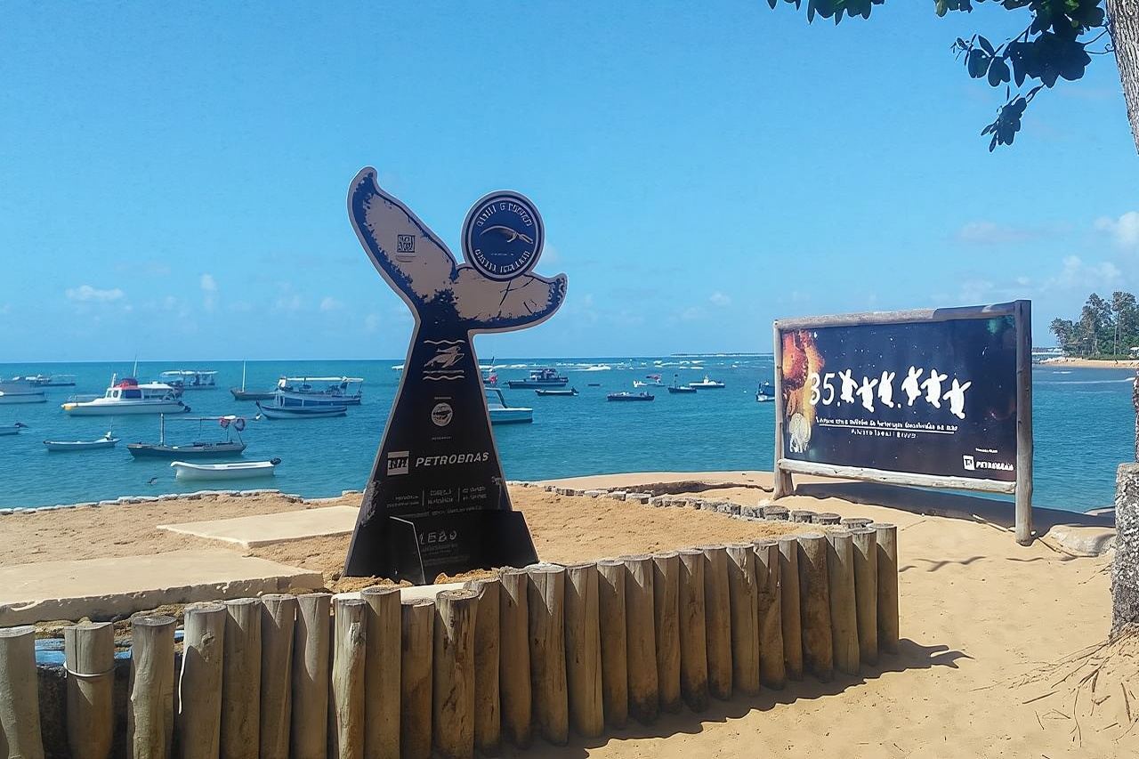 ทัวร์ปกติไปหาดฟอร์เต - ออกจากซัลวาดอร์ โดย Bahia Top Turismo