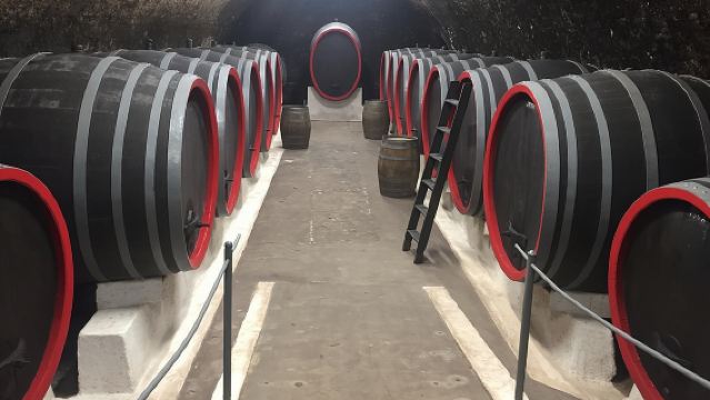 Private wine, food & heritage tour from Prague to Bohemia