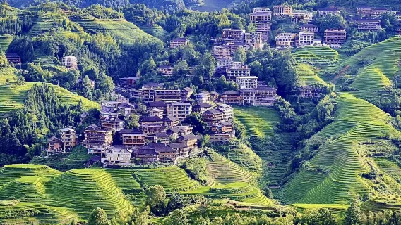 Longji Rice Terraces +Reed Flute Cave 1-day Private Tour