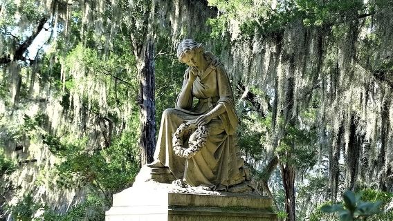 SavannahTours