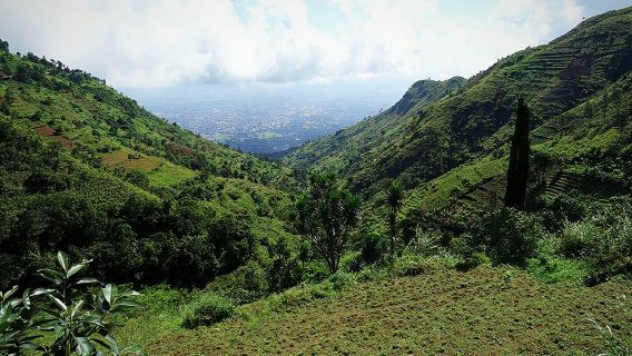 Day trip Hiking to Uluguru Mountains-Choma Waterfalls