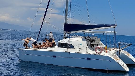 Dolphin trips on a catamaran