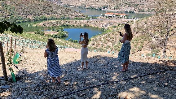 Excursión al Valle del Duero: Cata de vinos, crucero fluvial y almuerzo desde Oporto.