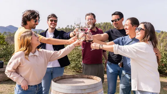 Excursion d'une journée à Montserrat avec déjeuner à la ferme et visite d'un vignoble