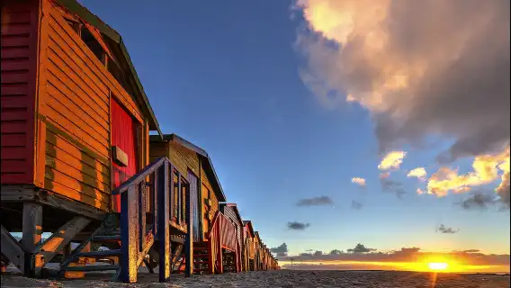 ทัวร์วันเดียว/ทัวร์หลายวัน เคปทาวน์ ประเทศแอฟริกาใต้ | ประภาคารเคป, หาดเพนกวิน และยอดเขาแชปแมน |รวมอาหารกลางวัน