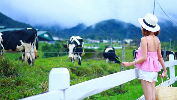沙巴亞庇神山一日遊 滑翔傘飛翔 奶牛牧場 ATV越野
