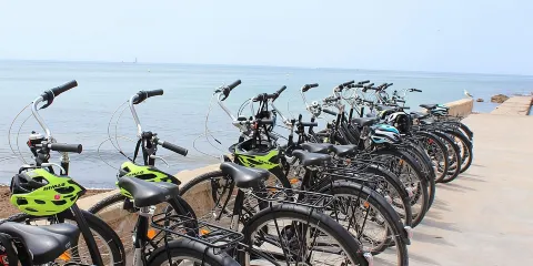 帕爾馬馬洛卡輕鬆單車遊 (小團)