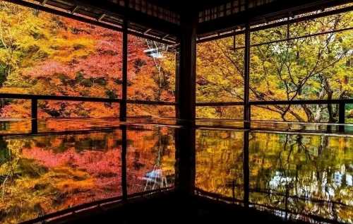 日本大阪來回.瑠璃光院-三千院-貴船神社.紅葉巡禮紅葉季
