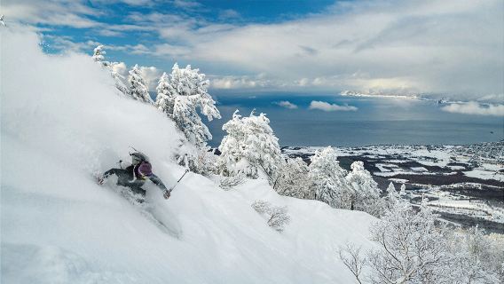 Lezioni di sci/snowboard a Niseko (inglese)