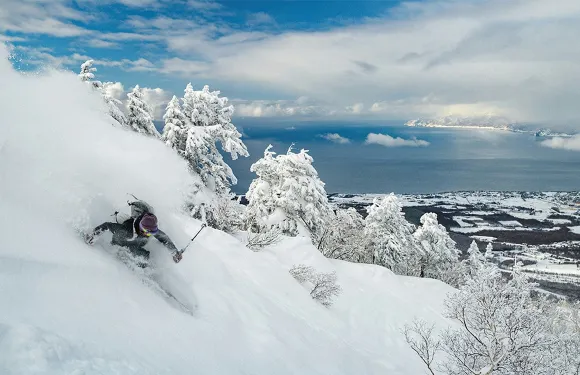 北海道 二世古區域滑雪場 雙板／單板滑雪課程（英語授課） 可加購雪票