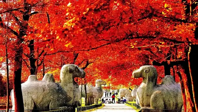 南京專業英語導覽服務