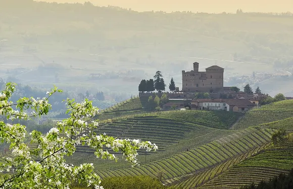 皮埃蒙特酒莊之旅：品嚐巴羅洛、巴巴萊斯科及傳統美食