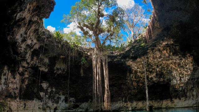 4 Cenotes Full Day Tour from Merida