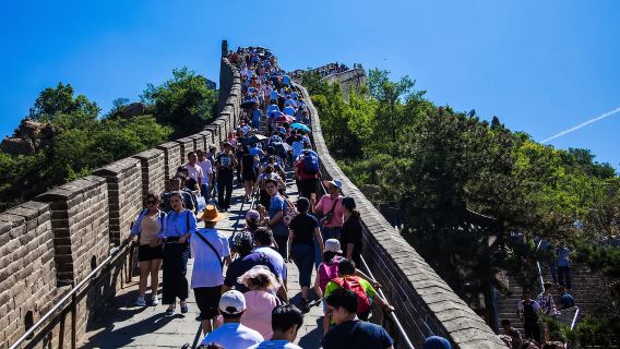 “สำรวจสัญลักษณ์ของปักกิ่ง: ทัวร์กำแพงเมืองจีนปาต้าหลิ่งและรังนก”