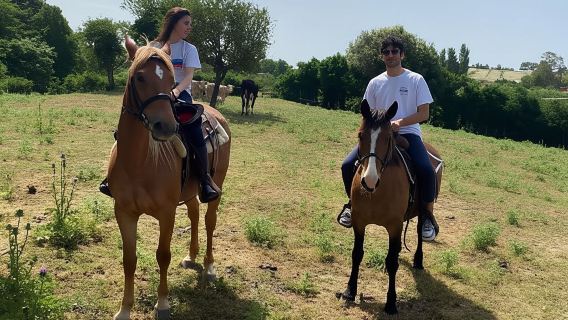 Bracciano: Passeggiata a cavallo sui Monti della Tolfa