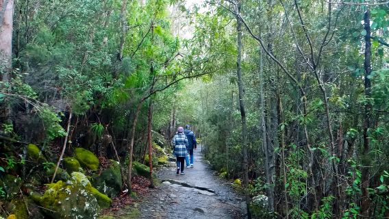 Hobart: Thẻ xe buýt thám hiểm kunanyi/Mt Wellington