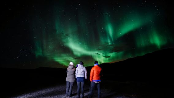 Golden Circle & Northern Lights Winter Small Group Tour