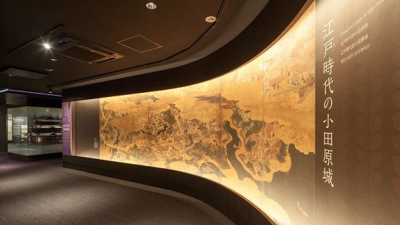 Odawara: visita guidata alla scoperta del castello e della città di Odawara