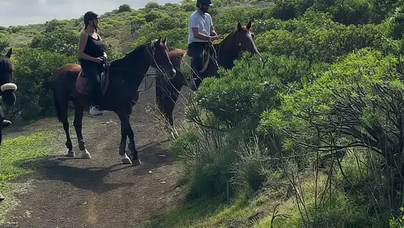 2 hours Green Mountains Horse Riding Tour