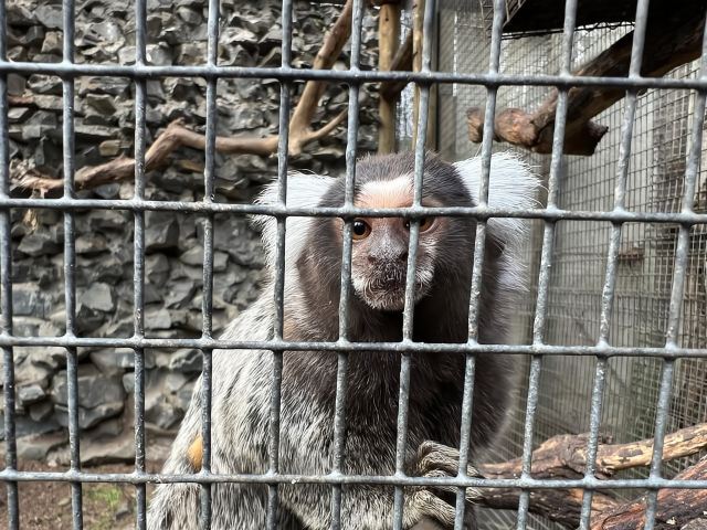 ทัวร์ส่วนตัวสู่โลกของนก เคิร์สเตนบอช และคอนสแตนเทีย