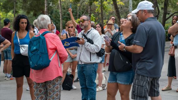 Barcelona: Geführte Tour durch den Park Güell mit bevorzugtem Einlass