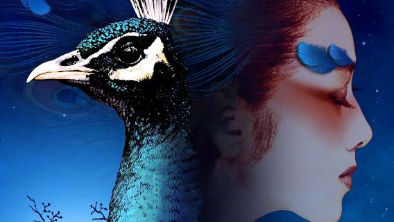 石林+昆明老街+《雲南映象》演出一日遊：含門票+午餐+導遊